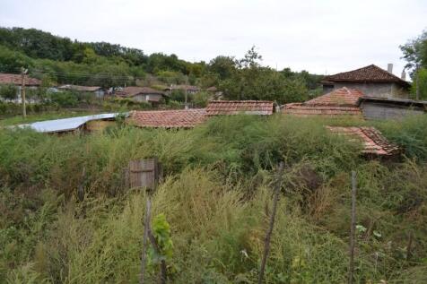 Property Image 33