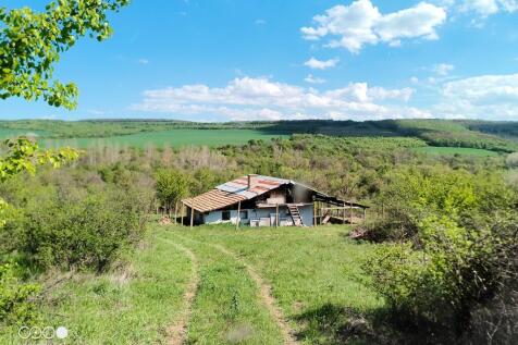 Property Image 13