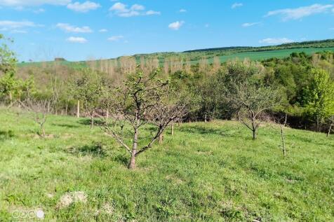 Property Image 56