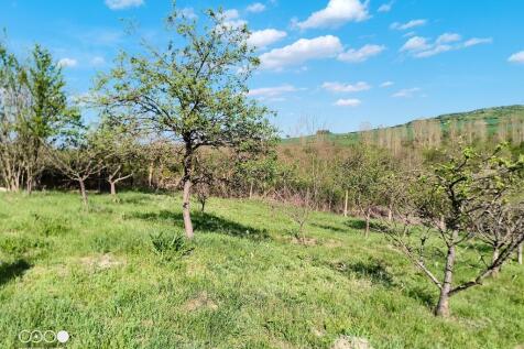 Property Image 64