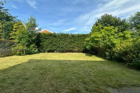  Back Garden