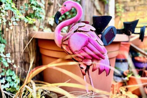 Flamingo 1.jpg
