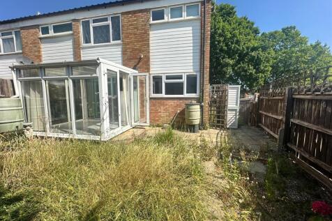Back Garden.jpeg