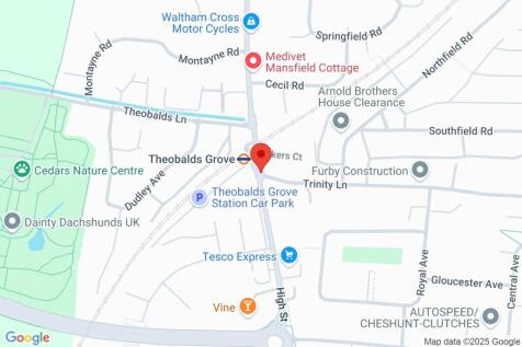 Google Maps Image