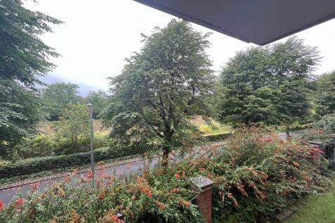View From Lounge