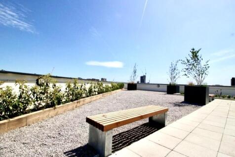 Roof Terrace