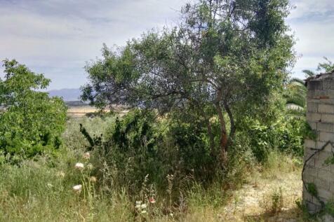 Land\Fruit trees