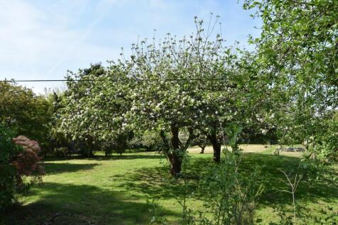 Property Image 32