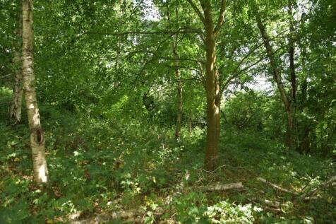 Property Image 35