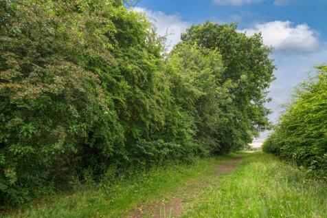 Foxey Leys Copse