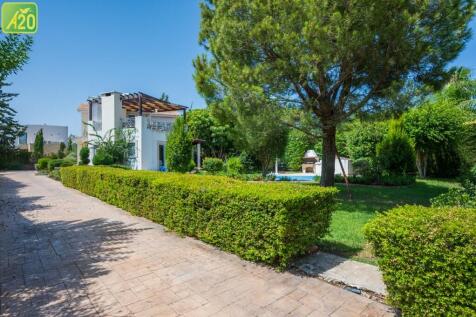 Property Image 39