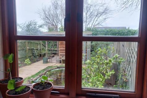 View from Kitchen Window