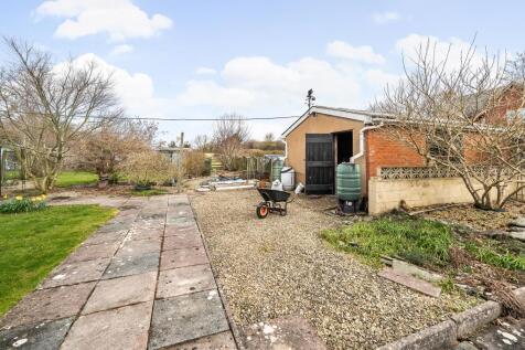 Photos
