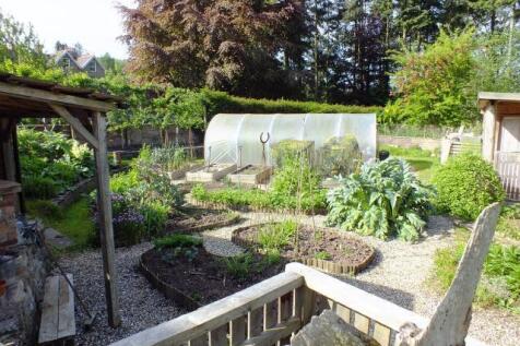 Vegetable Garden