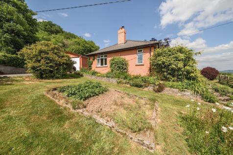 Photos