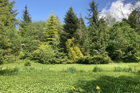 Pond &amp; Woodland