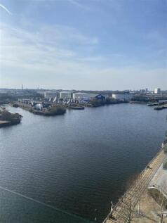 IMG_7865.jpg