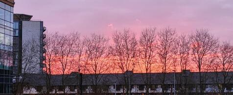 50985_SQU180110_L_IMG_09b_0000.jpg