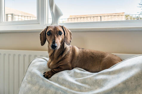 1372851-7-6900d47...