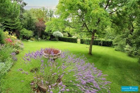 Garden 1