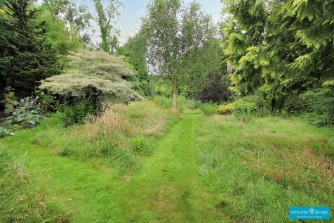 Bottom Garden