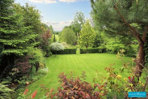 Garden 3
