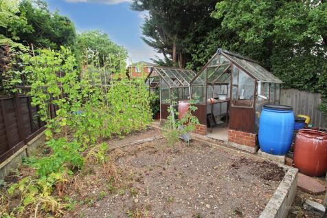 Vegetable Plot