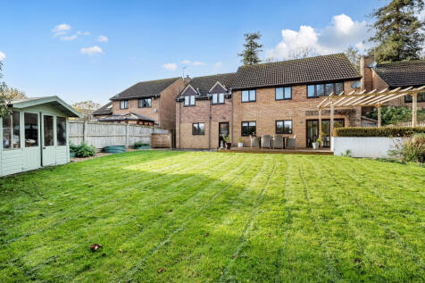 137348526904f94990115dp