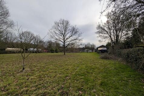 PXL_20250221_1248...