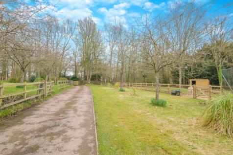 Property Image 34