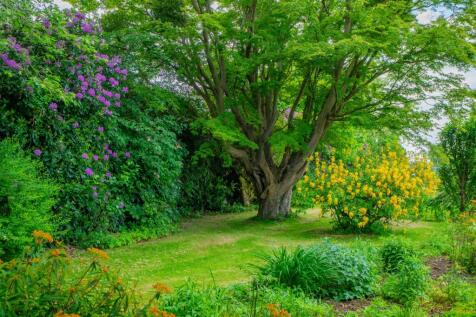 Property Image 71