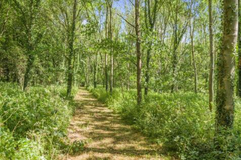 Property Image 28