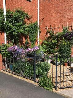 garden6.jpg