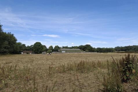bere court field photo.jpg
