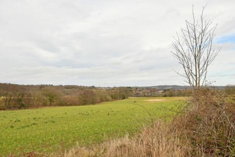 DSC_2081