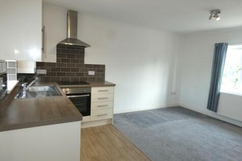 Kitchen/Living Ro...