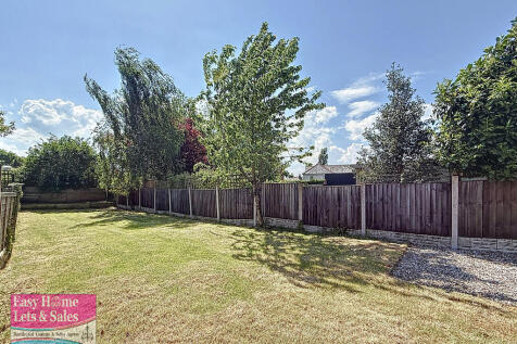 Back Garden