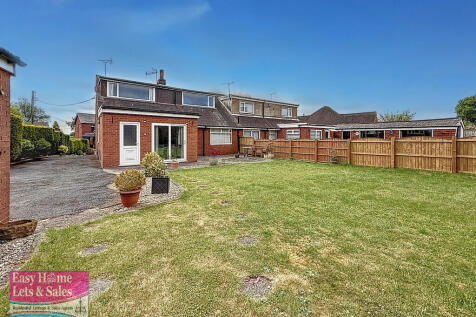 Back Garden