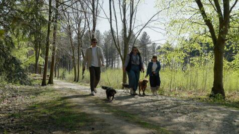 Mereside, Alderley Park - Offices to Rent