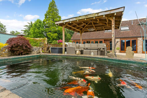 Pond