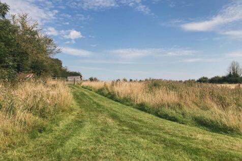 Field