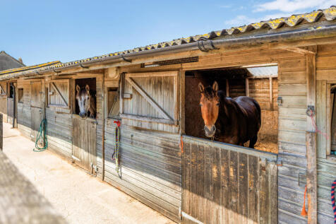 Stables