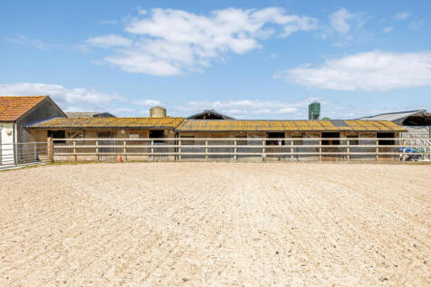 Equestrian
