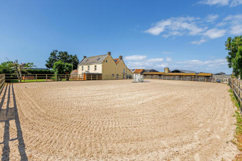 Equestrian