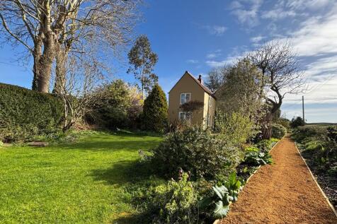 Path/Garden