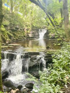Slitt Wood.jpg