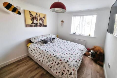 d1de1118-485394221_9581262635267390_28343808076434