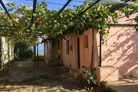 Rear of house and garden