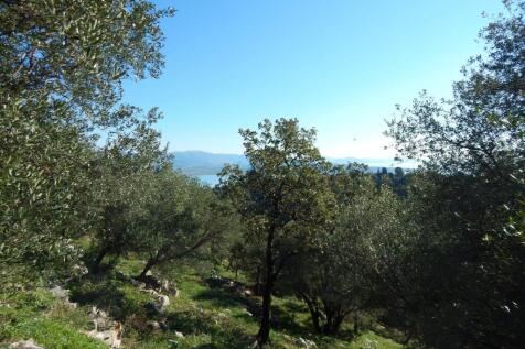 View of plot