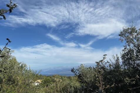View from plot above